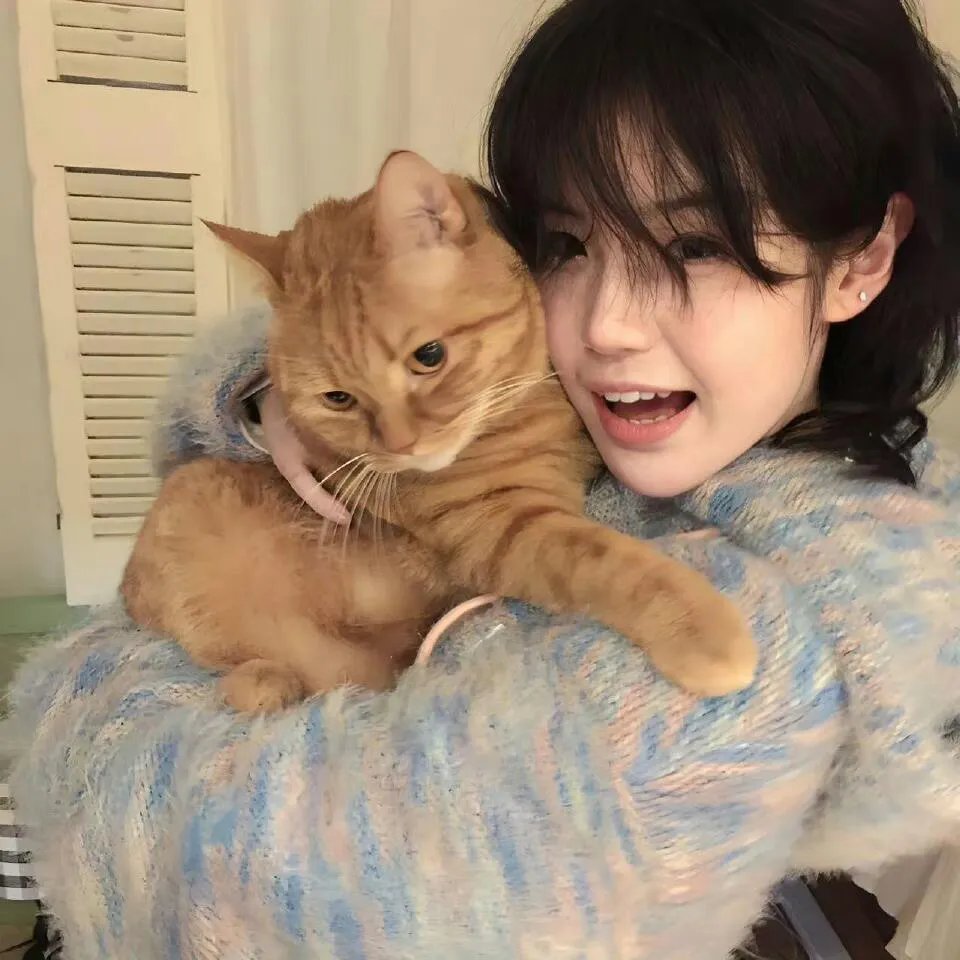 生人勿进(美版)