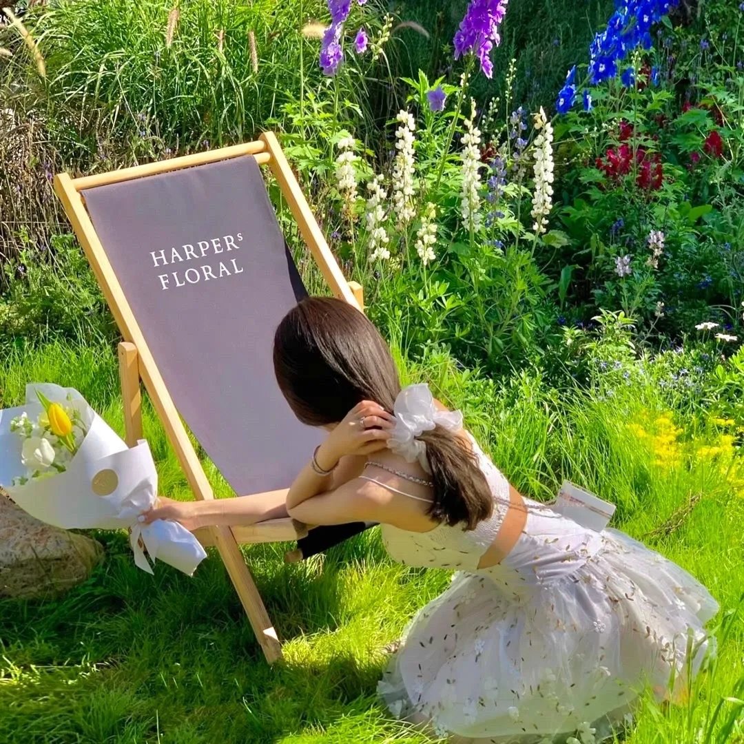 狂龙出狱：从退婚开始